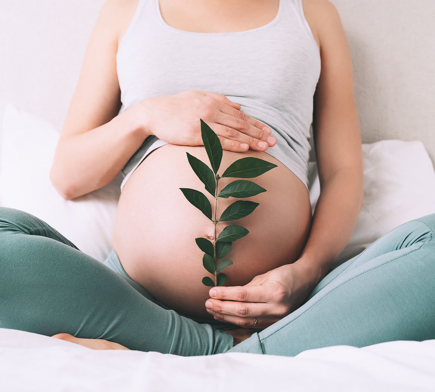 Femine Clinic - shutterstock 1904409550
